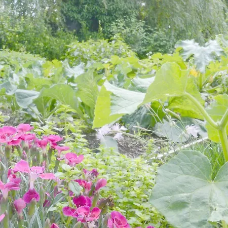 Апартаменты Apartma Tale