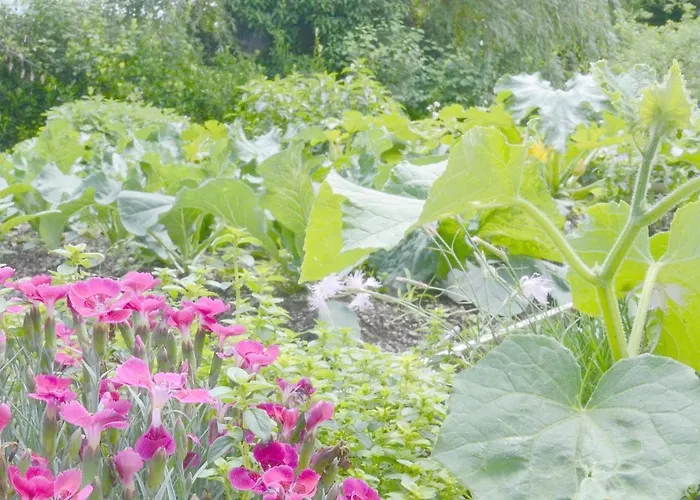 Apartament Apartma Tale